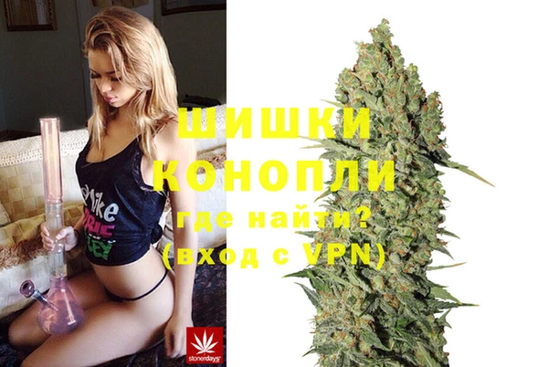 стафф Аркадак