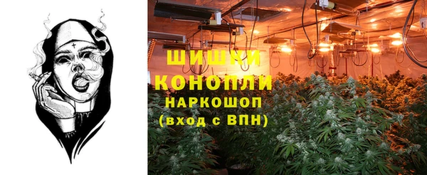 Альфа ПВП Арсеньев