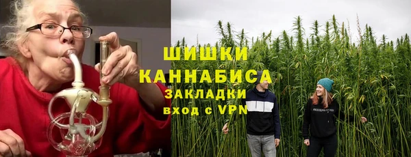 крисы Баксан