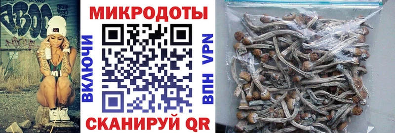 Псилоцибиновые грибы Cubensis MEGA tor Светлоград